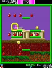 ���������꡼ No.005�Υ���ͥ������ / ���������ɥ��������֥��֥ܥ󥸥�å��ס�Switch��1��24�����ۿ�����