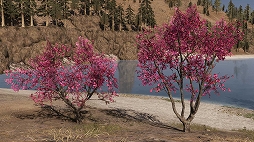 画像ギャラリー No.007のサムネイル画像 / 「真・三國無双8」，DLC「隠れ処カスタマイズパック」が配信開始
