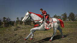 画像ギャラリー No.003のサムネイル画像 / 「真・三國無双8」,無料アップデートを本日実施。鈴鹿8耐とのコラボバイクをイメージした4種類の馬が追加