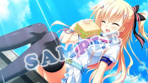 ꡼ No.011 | PS4ǡ֥ޥ륫פ524ȯ䡣ŹŵΥ饹Ȥ