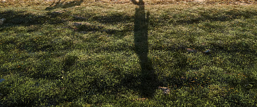 画像ギャラリー No.004のサムネイル画像 / 馬も登場する「Farming Simulator 19」の開発が発表。ゲームエンジンを大幅に改良して2018年秋にリリース