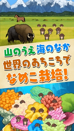 ꡼ No.007 | ꡼ǿ֤ʤᤳݥå ɡסϿȡŵ155ͤ륭ڡⳫ