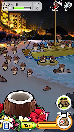 画像ギャラリー No.003のサムネイル画像 / 「なめこ栽培キット ザ・ワールド」,新よりみち調査地に「ハワイ州」が追加