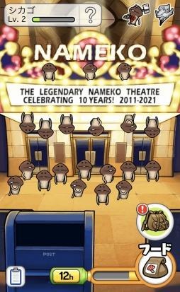 ꡼ No.003 | ֤ʤᤳݥå ɡפåץǡȡĴϡȥɤɲ