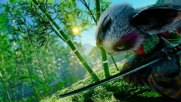 ꡼ No.005 | ֥Хߥ塼ȡ3ܤȤʤեȥƥȳšȥޥߥ塼ɤ򻣱Ƥ