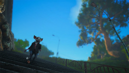 ꡼ No.013 | ֥Хߥ塼ȡ3ܤȤʤեȥƥȳšȥޥߥ塼ɤ򻣱Ƥ