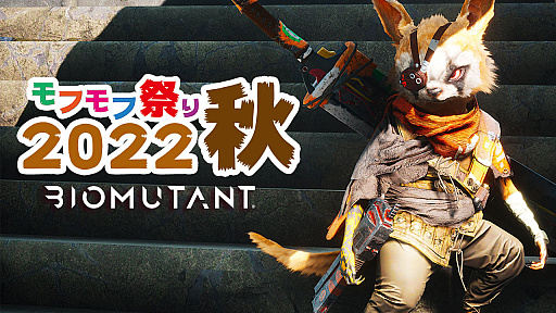 ꡼ No.008 | ֥Хߥ塼ȡפǥեƥ٥ȡȥեպפ 2022ɳ