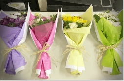 ꡼ No.004 | ɥ륰롼סNEWSɤȵǤ륹ޥۥץNEWSơסϿȡСäåȤϤ