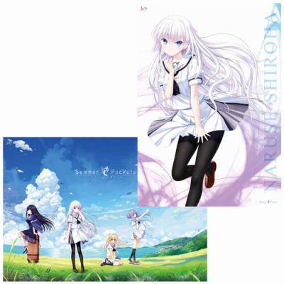 ꡼ No.024 | Summer PocketsפŸ񤬥ȥФ616곫šإȡ硼