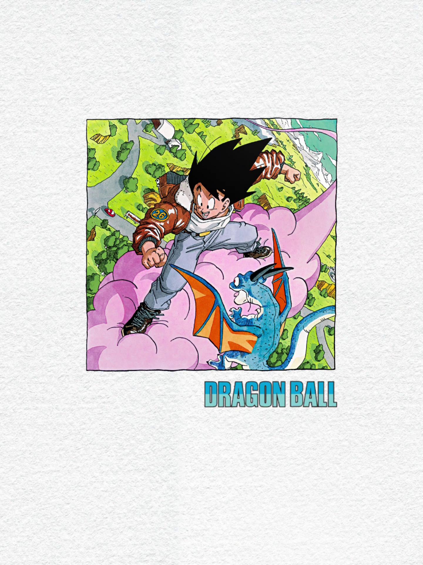 ꡼ No.009 | ֥ɥ饴ܡ 쥸󥺡Ļ Υ饹ȤڤDB40ǯǰڡפ򳫻ϡ̻ͤΡ¹פ餬