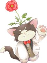 ꡼ No.007 | ɱMobileסָ٥Ȥȸ𾭤Υԥååץ㤬