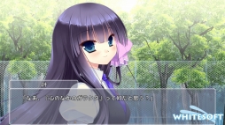 ꡼ No.007 | ɥ٥㡼֥󥰥ѥ֥ꥫס˨APPȶǤΥ륲ۿ