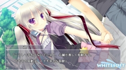 ꡼ No.008 | ɥ٥㡼֥󥰥ѥ֥ꥫס˨APPȶǤΥ륲ۿ