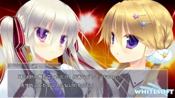 ꡼ No.011 | ɥ٥㡼֥󥰥ѥ֥ꥫס˨APPȶǤΥ륲ۿ