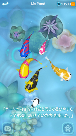 禅の鯉 2 - Zen Koi 2