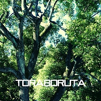 画像ギャラリー No.019のサムネイル画像 / 「エンゲージプリンセス」の婚約システムが公開。声優が歌うボカロPによるオリジナル楽曲も追加発表に