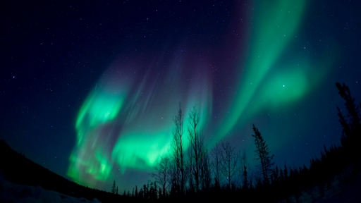 ꡼ No.009Υͥ / ޥ۸ưۿץåȥե&CAST!!!-㥹Ȥͷ٤ۿ-פۿ򳫻