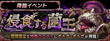 ꡼ No.004 | ֥ǥ󥺡ס٥ȡȶݲܥ륬ܥ륬ɤޤॢåץǡȤ»