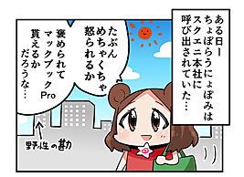 ꡼ No.007 | γä֥ɥ   ȥ쥤פͽդ