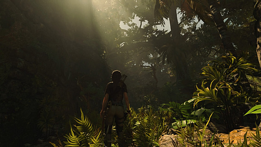 ꡼ No.005 | ֡Ⱥǽϡ֥ɥ   ȥ쥤ץץå󡣼㤭ΥͦѤ򤽤ܤ˾ƤĤ