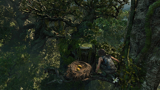 ꡼ No.019 | ֡Ⱥǽϡ֥ɥ   ȥ쥤ץץå󡣼㤭ΥͦѤ򤽤ܤ˾ƤĤ