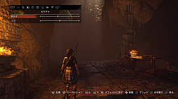 ꡼ No.050 | ֡Ⱥǽϡ֥ɥ   ȥ쥤ץץå󡣼㤭ΥͦѤ򤽤ܤ˾ƤĤ