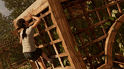 ꡼ No.029 | ȼҡɤԤˡ֥ɥ   ȥ쥤פ顦եȤĹ򡤥եȥե⡼ɤǻƤǾҲ