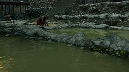 ꡼ No.043 | ȼҡɤԤˡ֥ɥ   ȥ쥤פ顦եȤĹ򡤥եȥե⡼ɤǻƤǾҲ