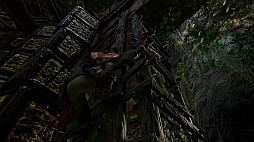 ꡼ No.051 | ȼҡɤԤˡ֥ɥ   ȥ쥤פ顦եȤĹ򡤥եȥե⡼ɤǻƤǾҲ