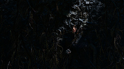 ꡼ No.054 | ȼҡɤԤˡ֥ɥ   ȥ쥤פ顦եȤĹ򡤥եȥե⡼ɤǻƤǾҲ