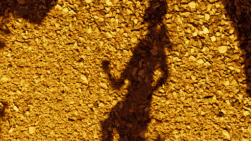 ꡼ No.065 | ȼҡɤԤˡ֥ɥ   ȥ쥤פ顦եȤĹ򡤥եȥե⡼ɤǻƤǾҲ