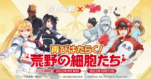 ꡼ No.001 | ֹưפǥ˥֤Ϥ餯˦פȤΥܥ٥ȳš4ݤƸ֤դˤо