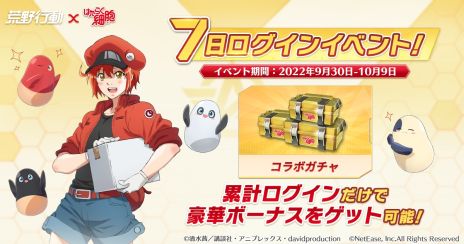 ꡼ No.003 | ֹưפǥ˥֤Ϥ餯˦פȤΥܥ٥ȳš4ݤƸ֤դˤо