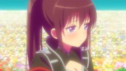 ꡼ No.002 | TV˥ߥꥪ󥢡11äԥåȤ