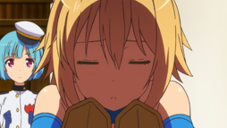 ꡼ No.003 | TV˥ߥꥪ󥢡11äԥåȤ