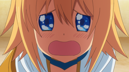 ꡼ No.010 | TV˥ߥꥪ󥢡11äԥåȤ