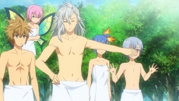 ꡼ No.009 | TV˥ߥꥪ󥢡ס42514ԥåȤ