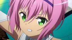 ꡼ No.008Υͥ / ˥ߥꥪ󥢡ס22áνפԥåȸ