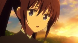 ꡼ No.005 | TV˥ߥꥪ󥢡23äԥåȤȤ餹