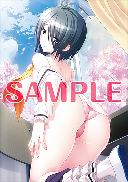 ꡼ No.011 | ֤Ҥ餷Τʤפȡ֥ɥɥɥפΥܥץ꡼714˥