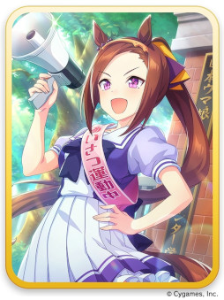 画像ギャラリー No.026のサムネイル画像 / 「ウマ娘 プリティーダービー」リリース1周年を迎え,最新情報を多数公開