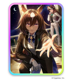 ꡼ No.005Υͥ / ֥̼ ץƥӡסޡȥե륳Υڥ륤٥Ȥʤɤξ