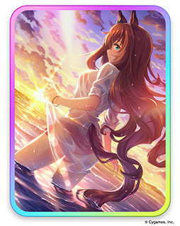 ���������꡼ No.006�Υ���ͥ������ / �֥���̼ �ץ�ƥ��������ӡ��פ˥ǥ���󥰥����Ȥ鿷���ʥ���̼�������ء�1.5��ǯ�����ڡ����饤�֤�³��ʤɡ��ǿ����󤬰�������