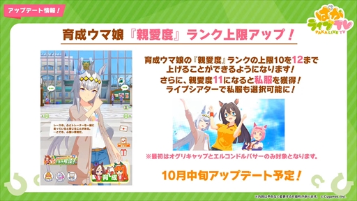 ���������꡼ No.010�Υ���ͥ������ / �ϥ�����������Υ����ͥ��ǥ�������ᥤ���祦�ɥȥ����о졣�֥���̼ �ץ�ƥ��������ӡ��פѤ��饤��TV Vol.21�ޤȤ�