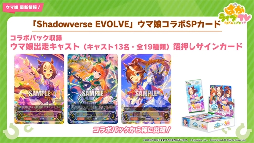 ���������꡼ No.028�Υ���ͥ������ / �ϥ�����������Υ����ͥ��ǥ�������ᥤ���祦�ɥȥ����о졣�֥���̼ �ץ�ƥ��������ӡ��פѤ��饤��TV Vol.21�ޤȤ�