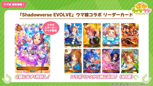 ���������꡼ No.029�Υ���ͥ������ / �ϥ�����������Υ����ͥ��ǥ�������ᥤ���祦�ɥȥ����о졣�֥���̼ �ץ�ƥ��������ӡ��פѤ��饤��TV Vol.21�ޤȤ�