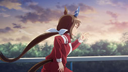 ꡼ No.003 | ˥֥̼ ץƥӡ ROAD TO THE TOPס416ۿ1äԥåȤͽư褬