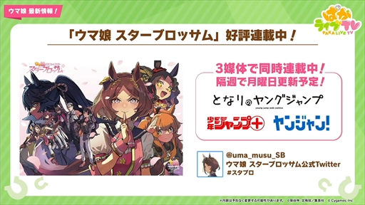 ���������꡼ No.042�Υ���ͥ������ / �ȥ꡼�� ���� �ҡ��������ɺǿ�����俷��������̼�ʤɤ��������줿�֥���̼ �ץ�ƥ��������ӡ��פѤ��饤��TV Vol.28�ޤȤ�