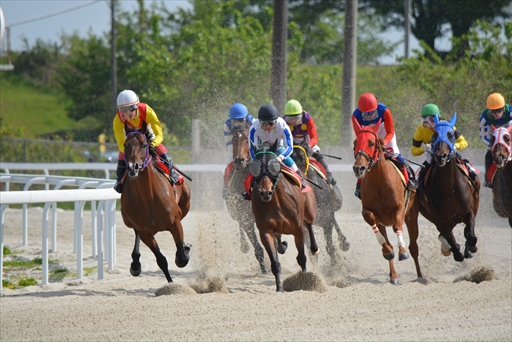 ���������꡼ No.021�Υ���ͥ������ / ����̼�ե��󤬥�����ǥӥ塼���ϡ��޾����Ͼ�˽��롪���֥���̼ �ץ�ƥ��������ӡ��߳޾������Х���ܥ��٥�ȡפκǽ�����ݡ��Ȥ��Ϥ�