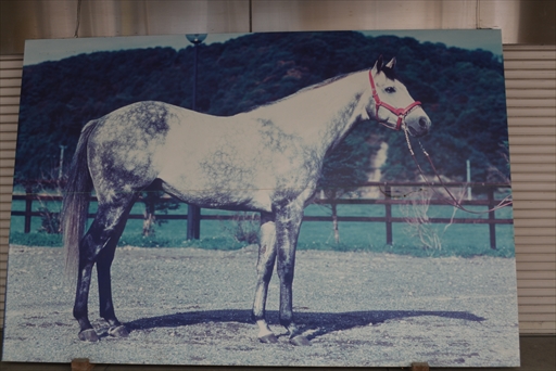 ���������꡼ No.031�Υ���ͥ������ / ����̼�ե��󤬥�����ǥӥ塼���ϡ��޾����Ͼ�˽��롪���֥���̼ �ץ�ƥ��������ӡ��߳޾������Х���ܥ��٥�ȡפκǽ�����ݡ��Ȥ��Ϥ�